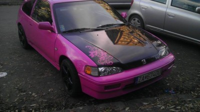 ruzova 1.jpg