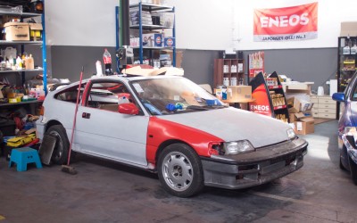 IMG_4244 (Large).jpg