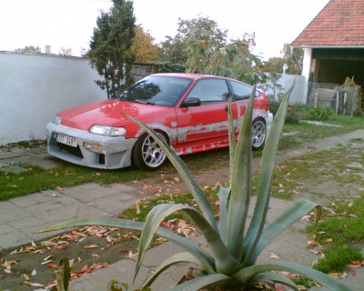 Obraz001.jpg