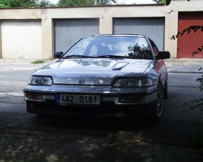 stříbřenka - 13.jpg