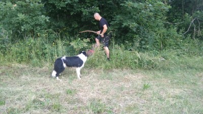 hledání disků.jpg