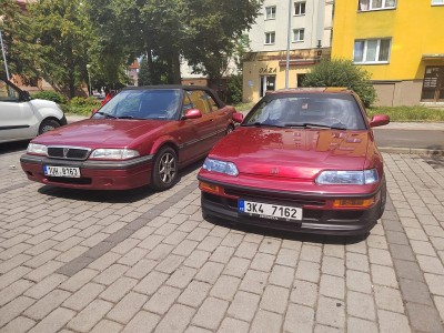 při mezidruhovém křížení.jpg