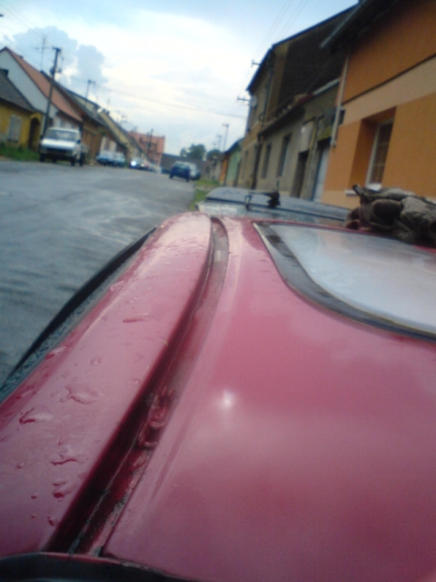 DSC00155.JPG