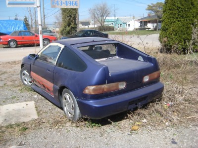 purplecrx005.jpg