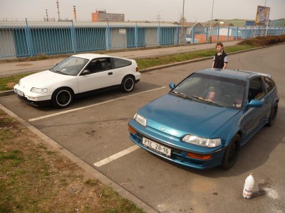 P1100135.jpg