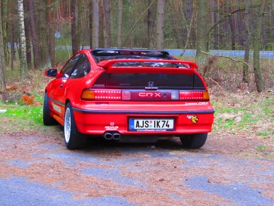 IMG_1524aa.jpg