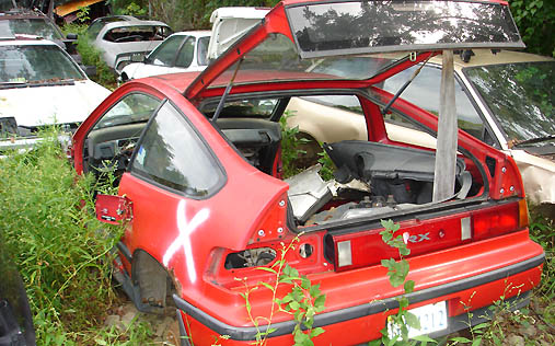 jy02.jpg