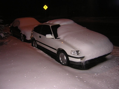 wintersmall3.jpg