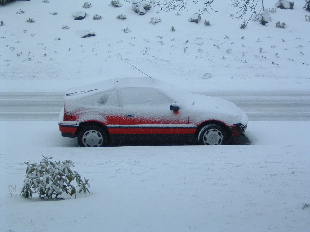 snow (2).JPG