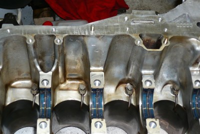 P1010790x.jpg