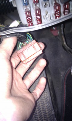 IMAG0044.jpg