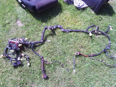 IMG_20120520_143655.jpg