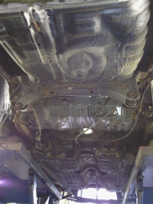 IMG_20120604_155041.jpg