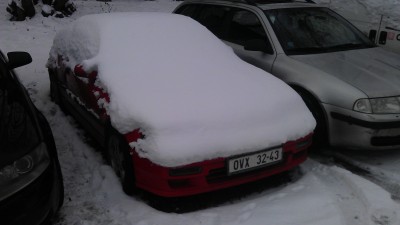 IMAG0383.jpg