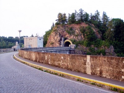 17953624.jpg