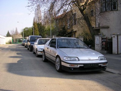 stříbřenka - 01.jpg