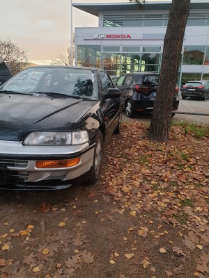 20201201_075102.jpg