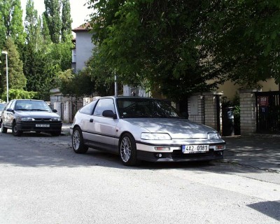 stříbřenka - 02.jpg