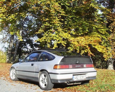 stříbřenka - 09.jpg