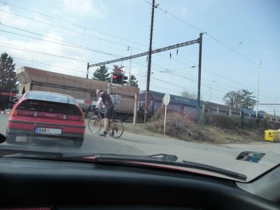 P1100096.jpg