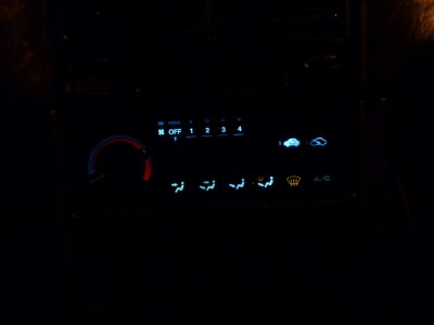 P1010601 (Large).JPG