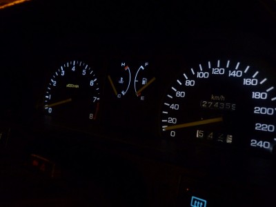 P1010618 (Large).JPG