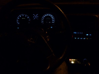 P1010608 (Large).JPG