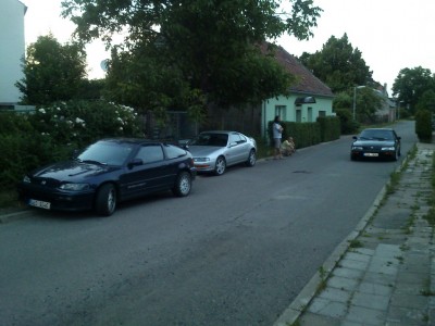 vsechny po hromade.JPG