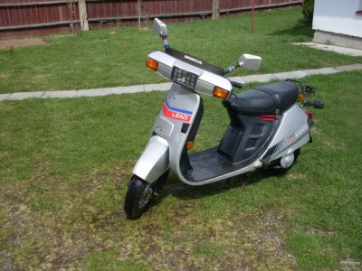 3325032-skutr-honda-lead-1.jpg